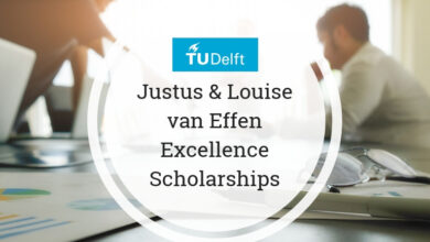 Justus & Louise van Effen Excellence Scholarships to study in Netherlands