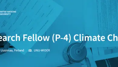 UNU is looking for a Research Fellow (P-4) Climate Change to lead a research programme on the links between climate change, just transition and distributional outcomes in developing countries