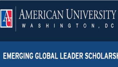 American University Global Leader fellowship.png
