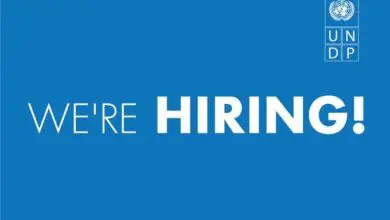 UNDP is recruiting for Remote Intern - Tax for SDGs Initiative (3 positions): APPLY NOW!