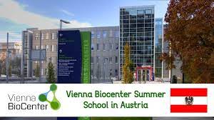 Vienna BioCenter Summer School 2024