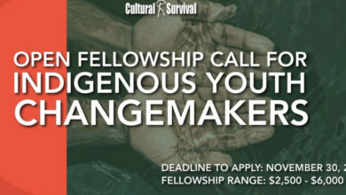 Indigenous Youth Changemakers Fellowship