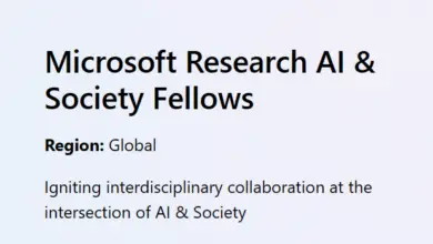 Microsoft Research AI & Society Fellows