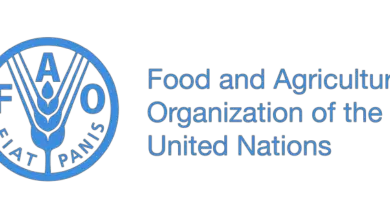 Call for Expression of Interest – 2024 FAO Internship Programme for Africa (RAF)