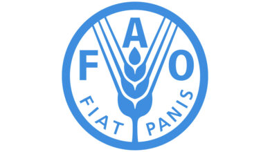 FAO is recruiting for a Monitoring, Evaluation, and Learning Specialist in various locations: APPLY NOW!