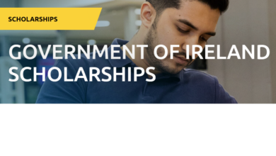 Government of Ireland International Education Scholarship