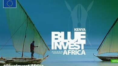 Pitchers-at-BlueInvest-Africa