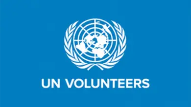Explore the latest and Exciting UN Youth Volunteer Assignments at UNV Program!