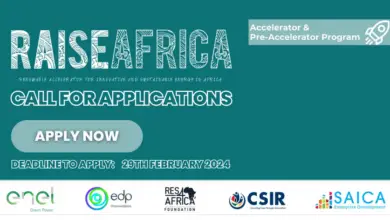 RES4Africa Foundation - Renewables Accelerators for Innovative Startups and Entrepreneurs in Africa (RAISEAfrica) Initiative!