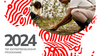 Applications are now open for the 2024 Tony Elumelu Foundation Entrepreneurship Programme