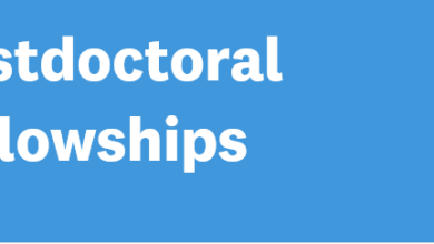 Applications for the Fully-funded JSPS-UNU Postdoctoral Fellowship Programme 2024 are now open!