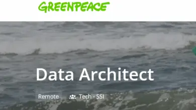 Greenpeace International is hiring for a Remote Data Architect position: APPLY NOW!