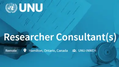 United Nations University is looking for multiple Researcher Consultants (remote): APPLY NOW!