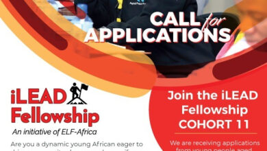 Applications are now open for the iLEAD Fellowship Programme for young Africans passionate about addressing Sustainable Development Goals!