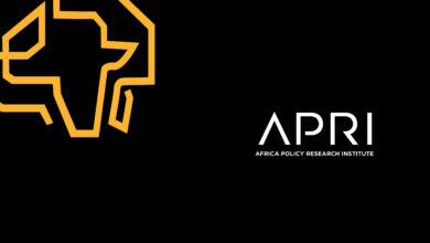 Africa Policy Research Institute is looking for an Intern- Climate Change Program