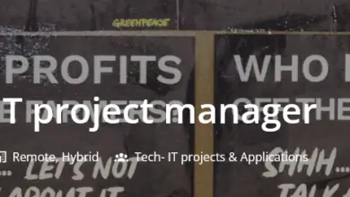 Greenpeace International is looking for an IT Project Manager: APPLY NOW!