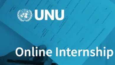 Paid Online Internship – Human Resources at United Nations University: APPLY NOW!