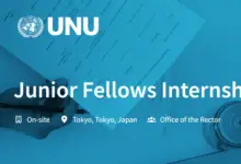 Apply for the Paid United Nations University Junior Fellows Internship Programme Fall 2024!