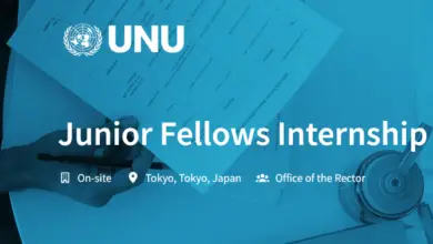 Apply for the Paid United Nations University Junior Fellows Internship Programme Fall 2024!